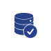 Data Accuracy Controls