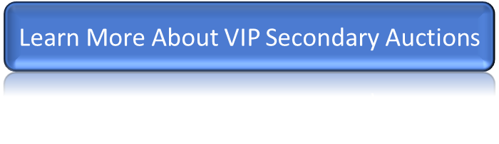 VIP Vidrio.com Website - Secondary Auctions